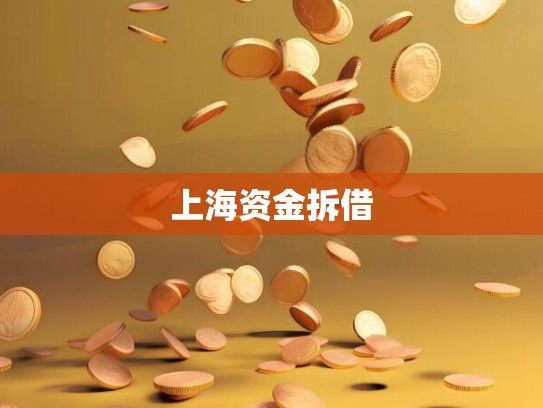 上海资金拆借 上海资金拆借