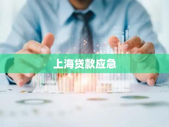 上海贷款应急