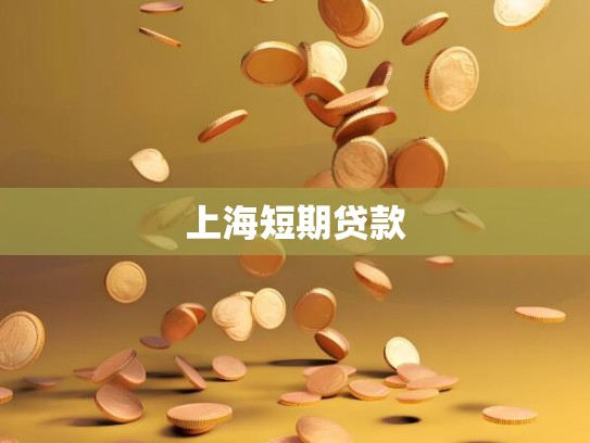 上海短期贷款