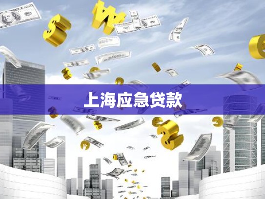 上海应急贷款 上海应急贷款