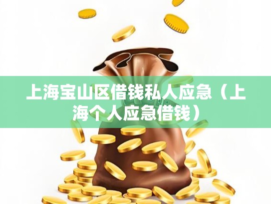 上海宝山区借钱私人应急（上海个人应急借钱）