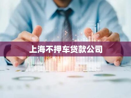 上海不押车贷款公司