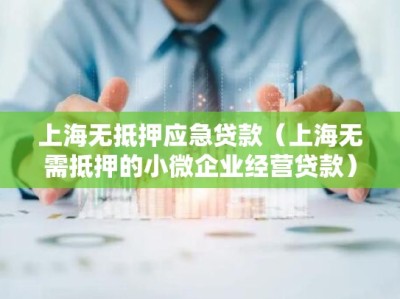 上海无抵押应急贷款（上海无需抵押的小微企业经营贷款）