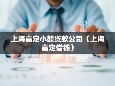 上海嘉定小额贷款公司（上海嘉定借钱）