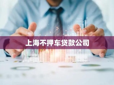 上海不押车贷款公司