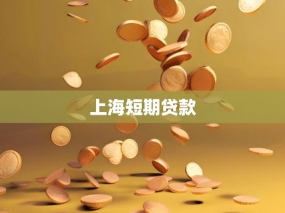 上海短期贷款