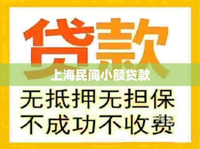 上海民间小额贷款