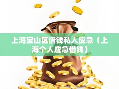 上海宝山区借钱私人应急（上海个人应急借钱）